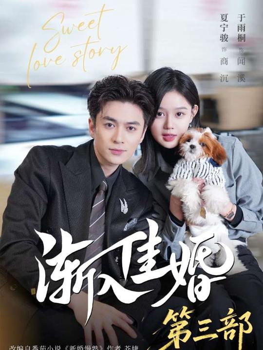 渐入佳婚3封面图